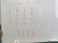 IMG 0889